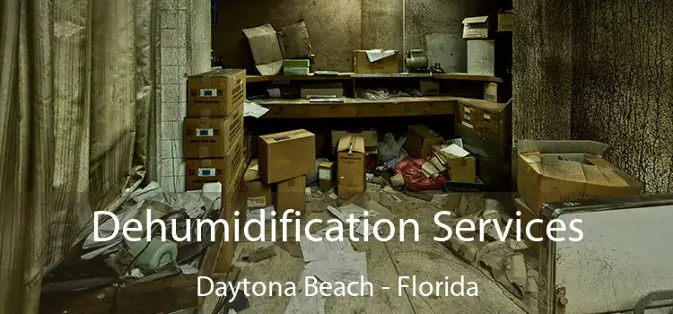 Dehumidification Services Daytona Beach - Florida