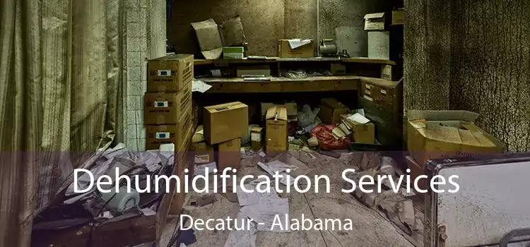 Dehumidification Services Decatur - Alabama