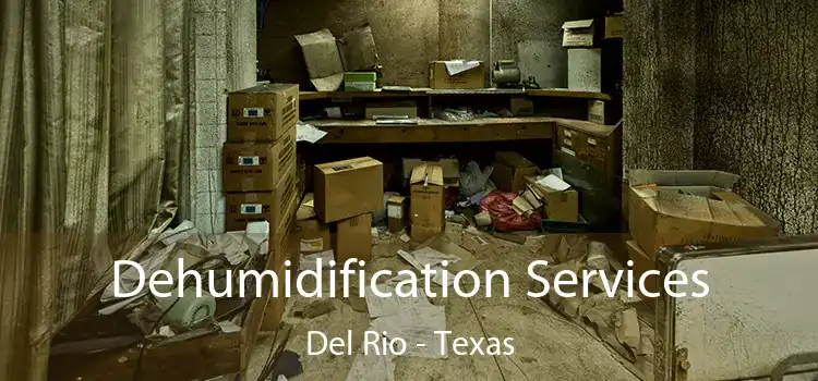 Dehumidification Services Del Rio - Texas