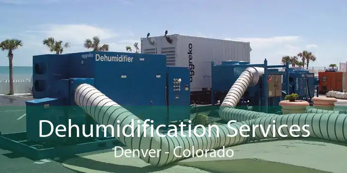 Dehumidification Services Denver - Colorado