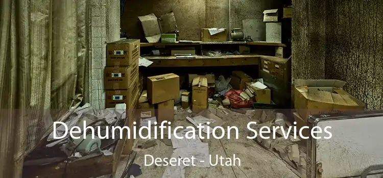 Dehumidification Services Deseret - Utah