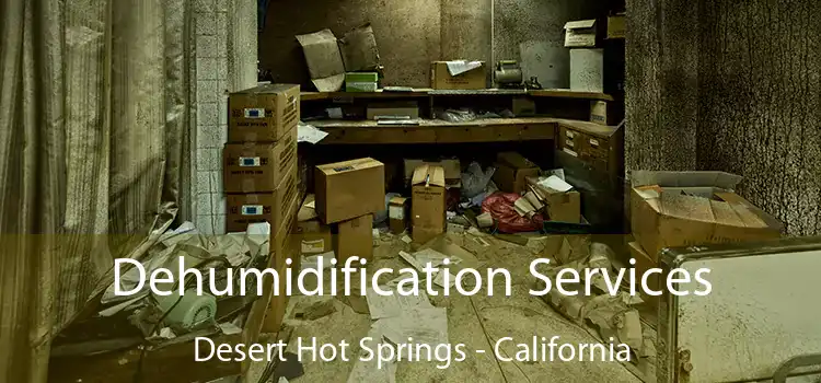 Dehumidification Services Desert Hot Springs - California