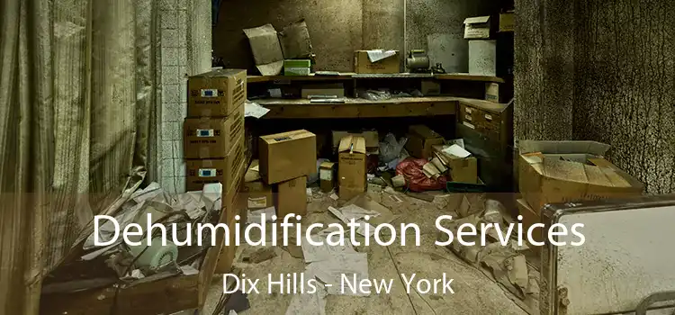 Dehumidification Services Dix Hills - New York