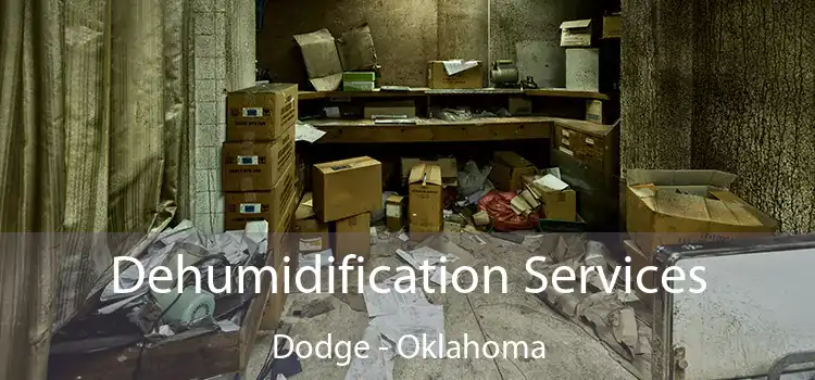 Dehumidification Services Dodge - Oklahoma