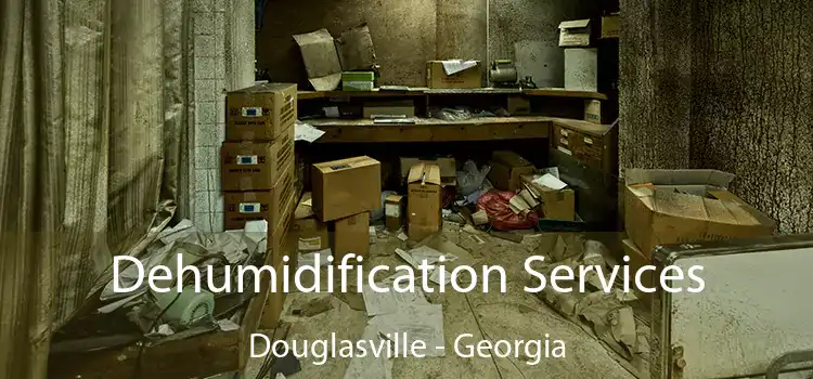 Dehumidification Services Douglasville - Georgia