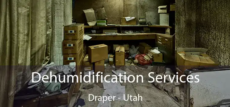 Dehumidification Services Draper - Utah