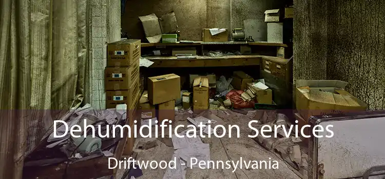 Dehumidification Services Driftwood - Pennsylvania