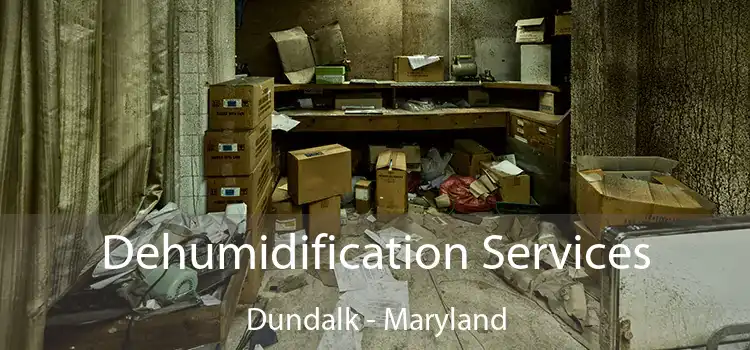 Dehumidification Services Dundalk - Maryland