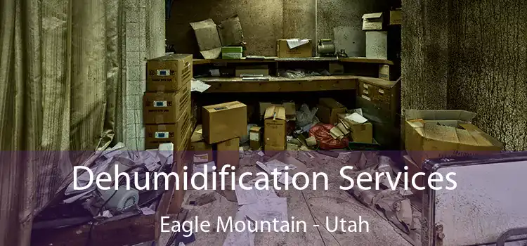 Dehumidification Services Eagle Mountain - Utah