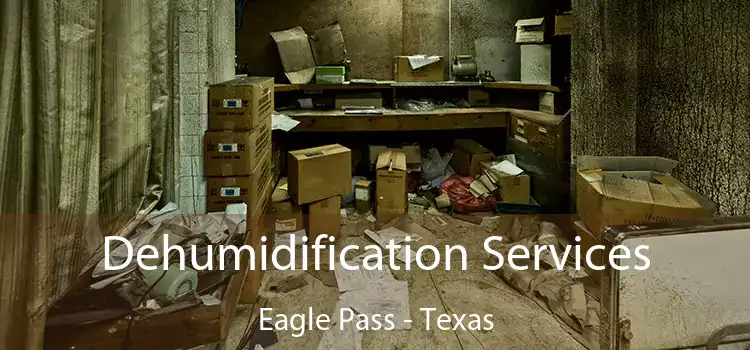 Dehumidification Services Eagle Pass - Texas