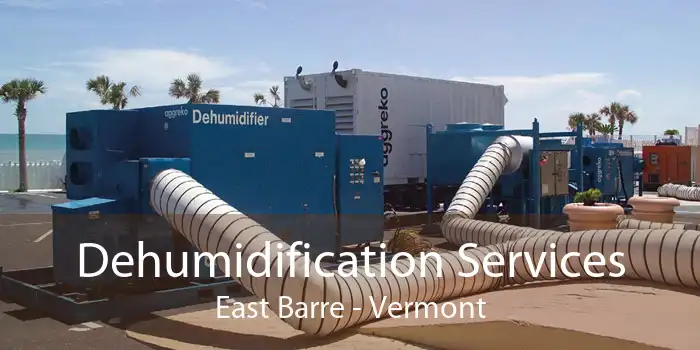Dehumidification Services East Barre - Vermont