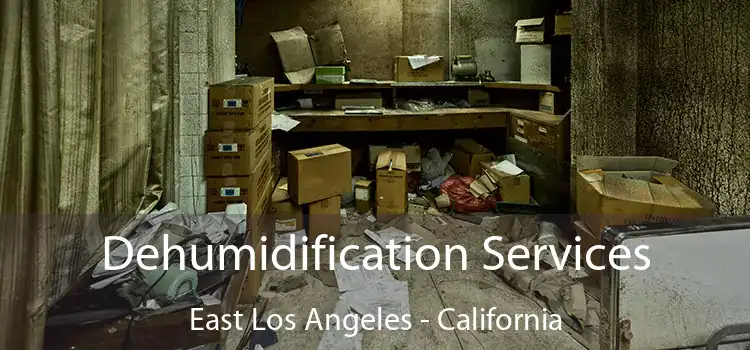 Dehumidification Services East Los Angeles - California