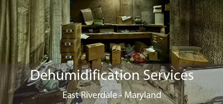 Dehumidification Services East Riverdale - Maryland