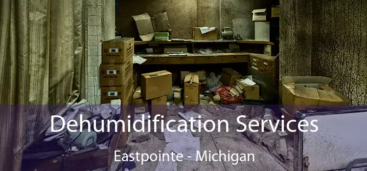 Dehumidification Services Eastpointe - Michigan