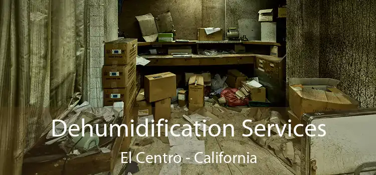 Dehumidification Services El Centro - California