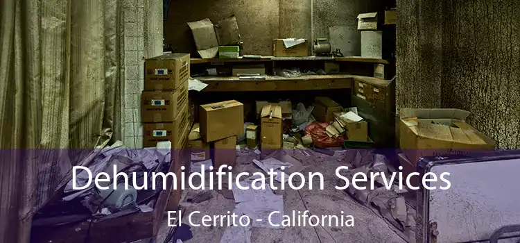 Dehumidification Services El Cerrito - California