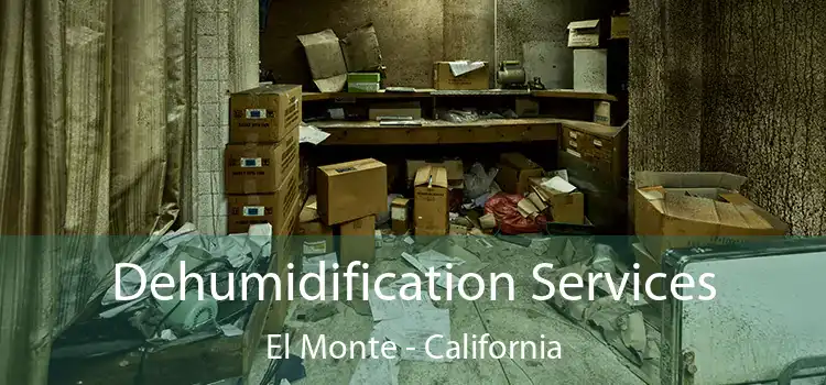 Dehumidification Services El Monte - California