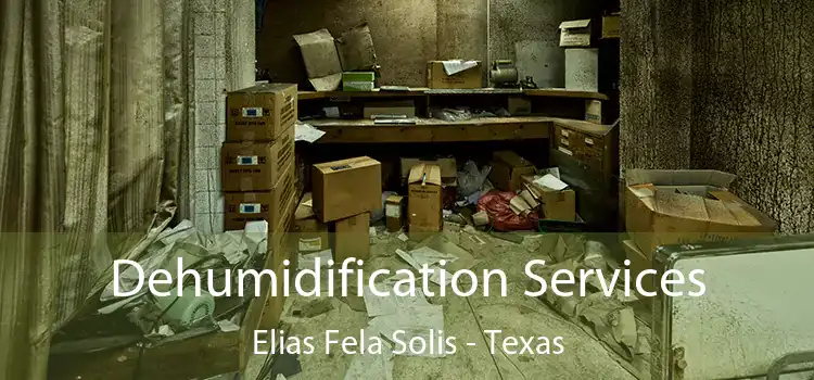 Dehumidification Services Elias Fela Solis - Texas