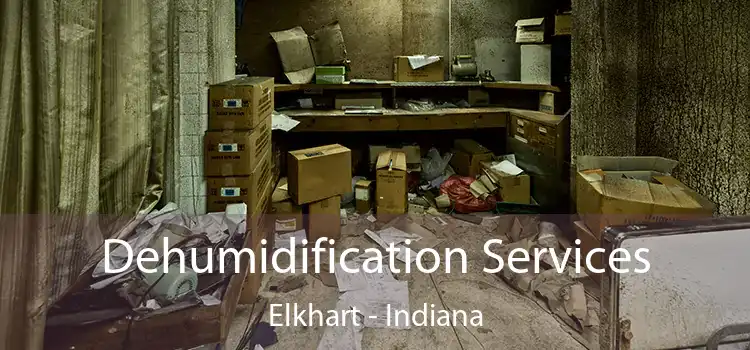 Dehumidification Services Elkhart - Indiana