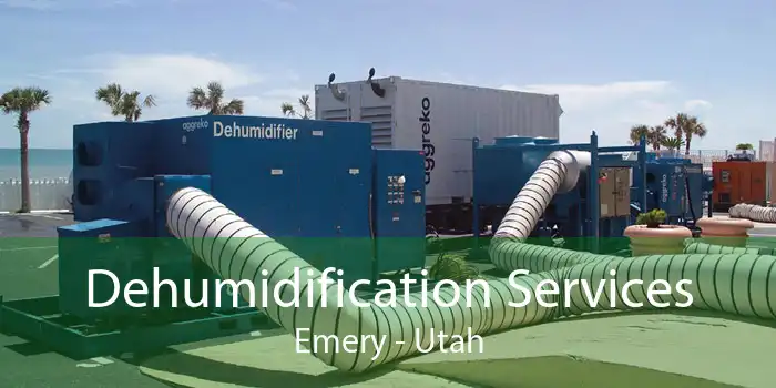 Dehumidification Services Emery - Utah