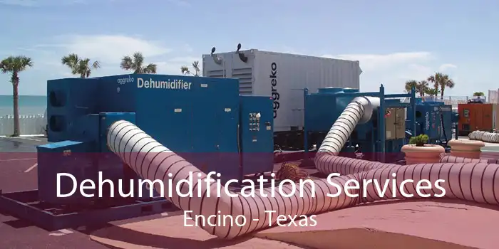 Dehumidification Services Encino - Texas