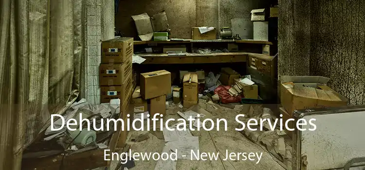 Dehumidification Services Englewood - New Jersey