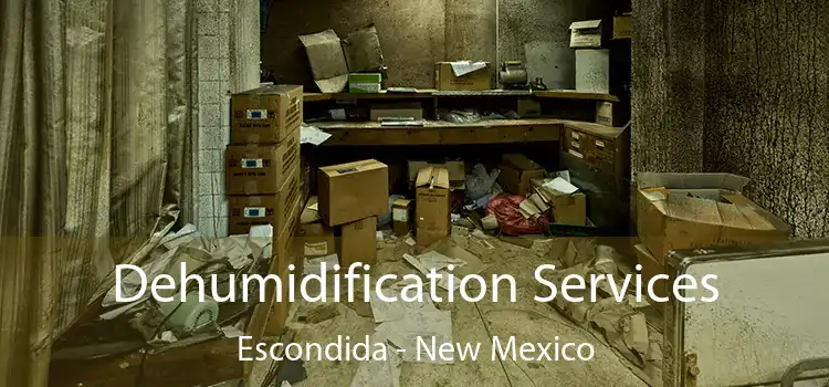 Dehumidification Services Escondida - New Mexico