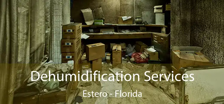 Dehumidification Services Estero - Florida