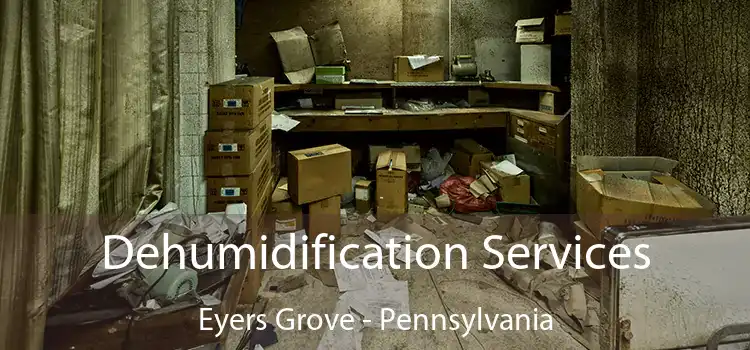 Dehumidification Services Eyers Grove - Pennsylvania