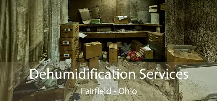 Dehumidification Services Fairfield - Ohio