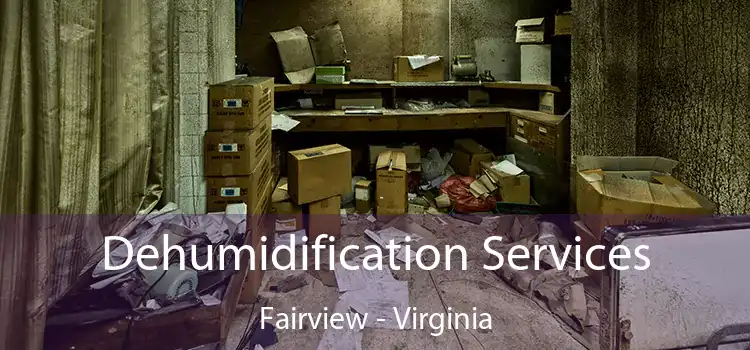 Dehumidification Services Fairview - Virginia