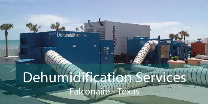 Dehumidification Services Falconaire - Texas