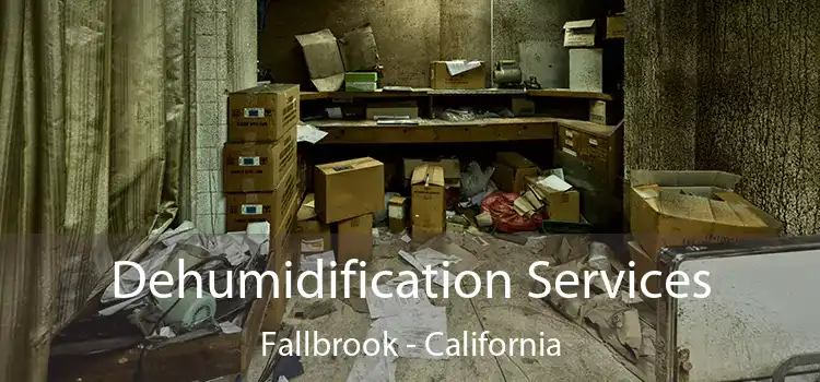 Dehumidification Services Fallbrook - California