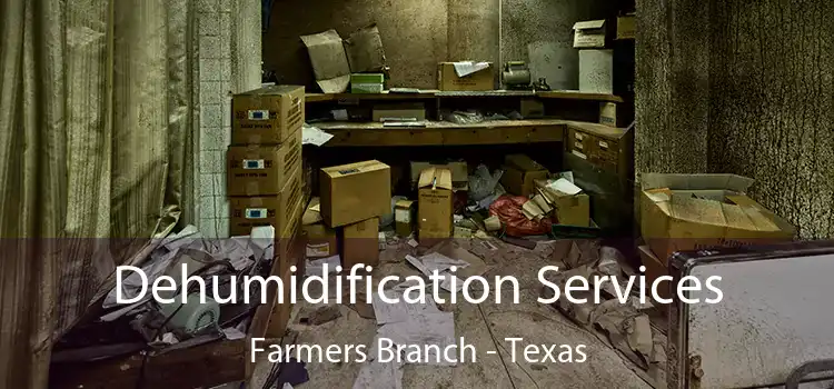 Dehumidification Services Farmers Branch - Texas