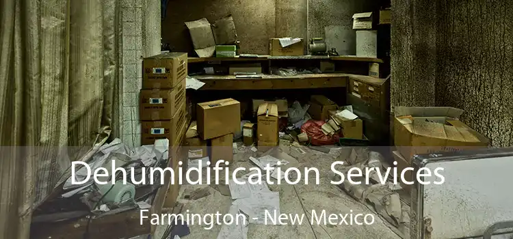 Dehumidification Services Farmington - New Mexico