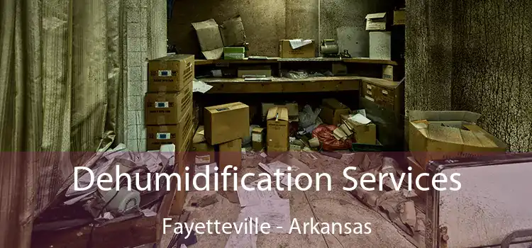 Dehumidification Services Fayetteville - Arkansas