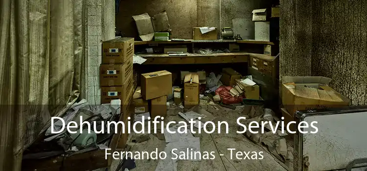 Dehumidification Services Fernando Salinas - Texas