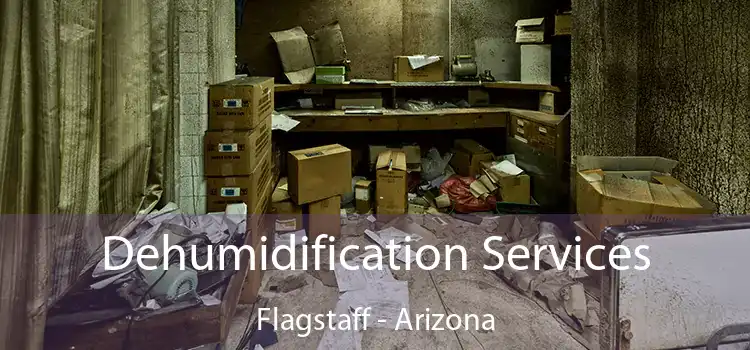 Dehumidification Services Flagstaff - Arizona