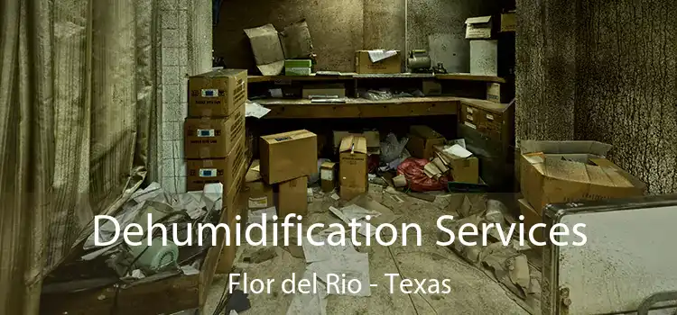 Dehumidification Services Flor del Rio - Texas