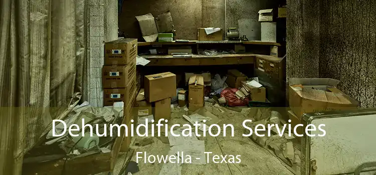 Dehumidification Services Flowella - Texas