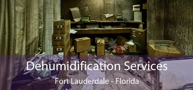 Dehumidification Services Fort Lauderdale - Florida