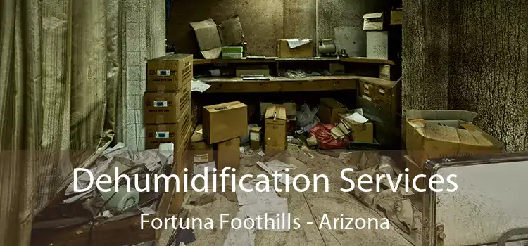 Dehumidification Services Fortuna Foothills - Arizona