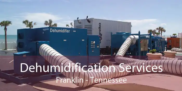 Dehumidification Services Franklin - Tennessee
