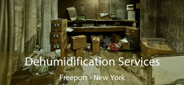 Dehumidification Services Freeport - New York