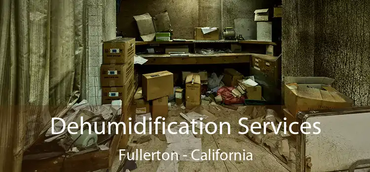 Dehumidification Services Fullerton - California