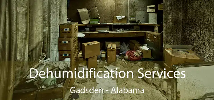 Dehumidification Services Gadsden - Alabama