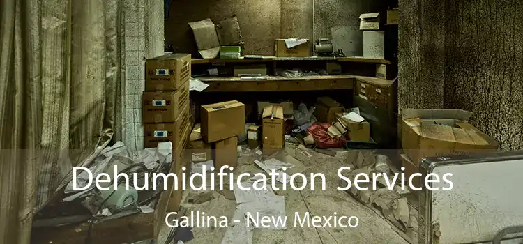 Dehumidification Services Gallina - New Mexico