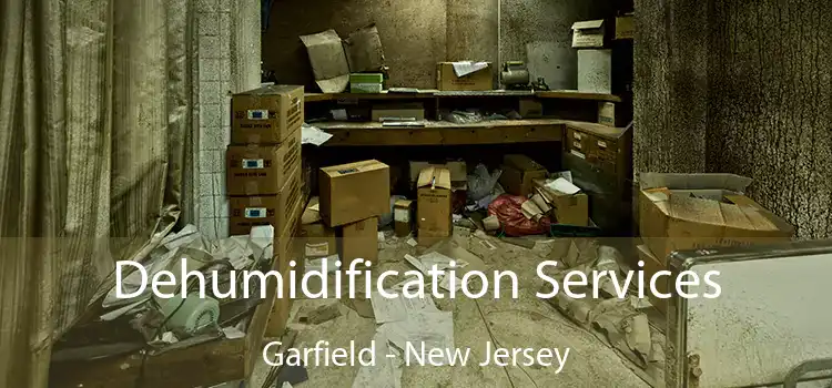 Dehumidification Services Garfield - New Jersey