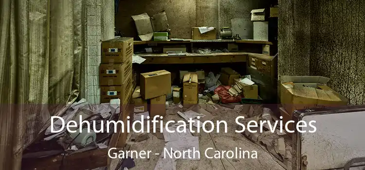 Dehumidification Services Garner - North Carolina