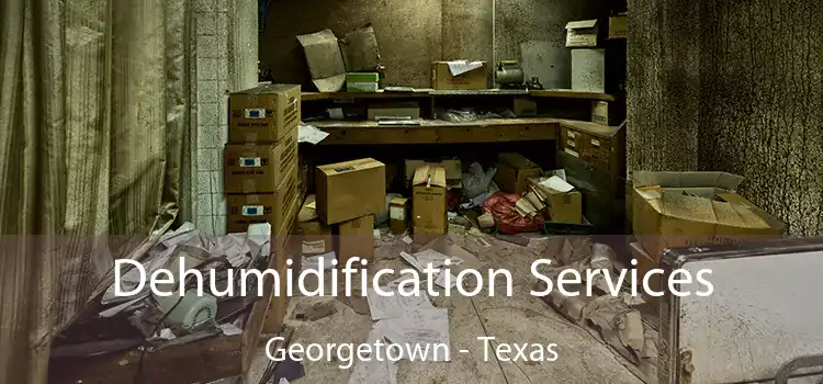 Dehumidification Services Georgetown - Texas